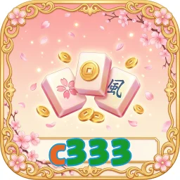 c333